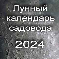 Лунный посевной календарь садовода на 2024 год благоприятные дни для посадки саженцев 