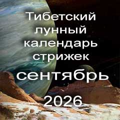 Лунный календарь стрижек волос на сентябрь 2026 года
