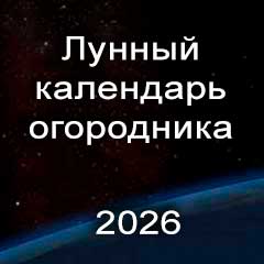 Лунный календарь огородника на 2026 год  лунные фазы по каждому месяцу 