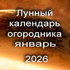 Лунный календарь огородника на январь 2026 года