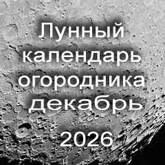 Лунный календарь огородника на декабрь 2026 года