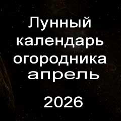  Лунный календарь огородника на апрель 2026 года