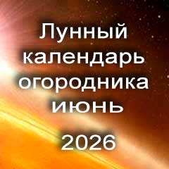Лунный календарь огородника на июнь 2026 года