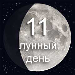 11 лунный день характеристика дня